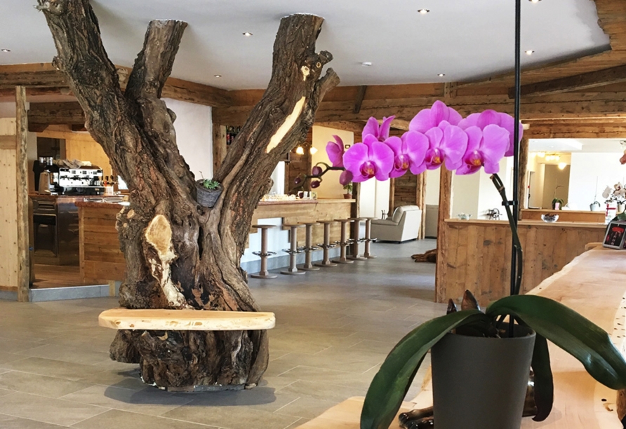 Hotel Miraval, Willkommen