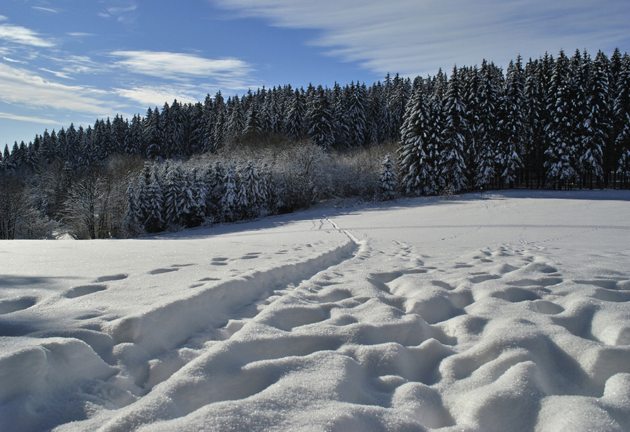 Schneelandschaft im Bayerischen Wald
