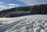 Schneelandschaft im Bayerischen Wald