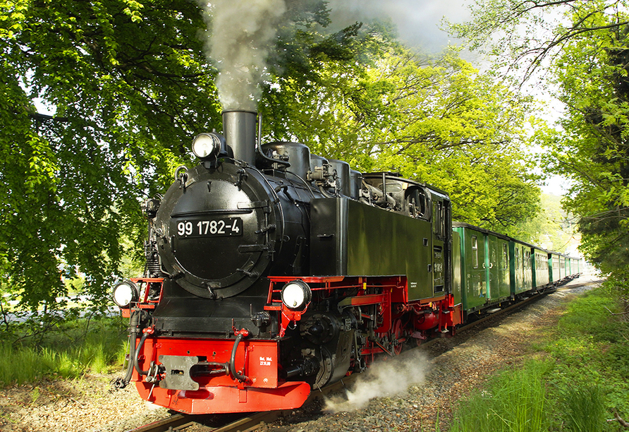 Steigen Sie in die dampflokbetriebene Schmalspureisenbahn Rasender Roland ein.