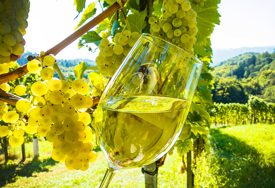 Genießen Sie leckere Weine aus dem nördlichsten Weinanbaugebiet Deutschlands.