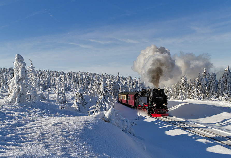 Eine Fahrt mit der Schmalspurbahn ist auch im Winter lohnenswert.