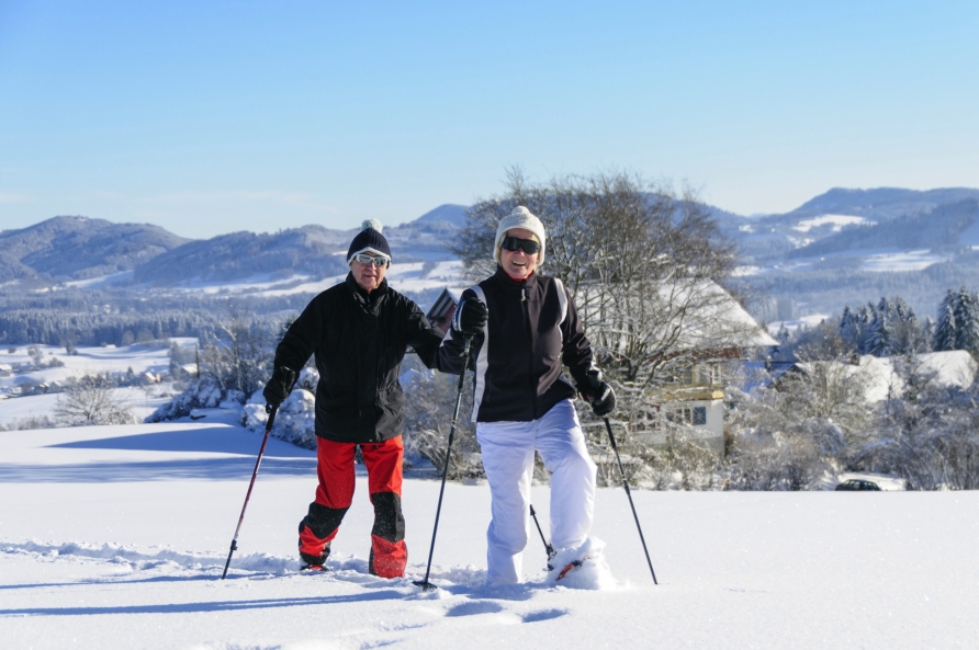 Machen Sie eine Schneewanderung durch die Tiroler Landschaft.