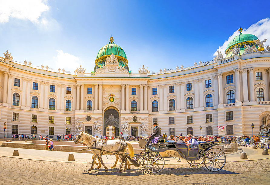 Eine typische Fiaker Wiens mit der alten Hofburg im Hintergrund