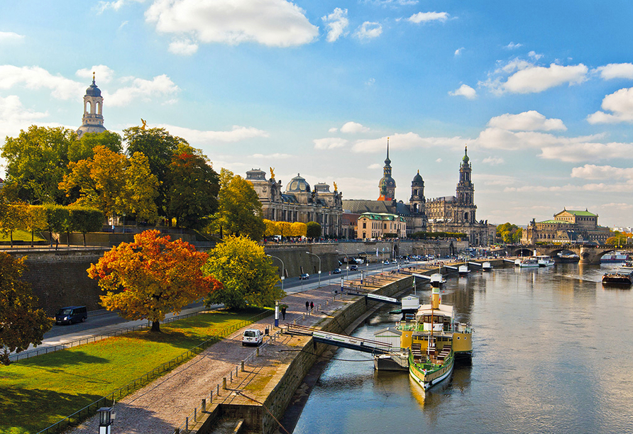 Genießen Sie den Blick über die quirlige Stadt Dresden.