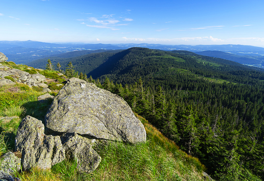 Genießen Sie traumhafte Aussichten über den Bayerischen Wald.