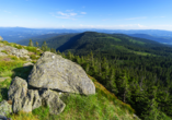 Genießen Sie traumhafte Aussichten über den Bayerischen Wald.