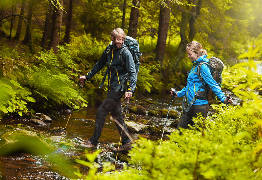 Entdecken Sie die schönsten Wanderwege des Bayerischen Waldes.