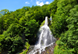 Machen Sie einen Ausflug zum Trusetaler Wasserfall.