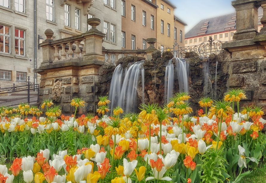Die Wasserkunst in Gotha wird Sie begeistern.