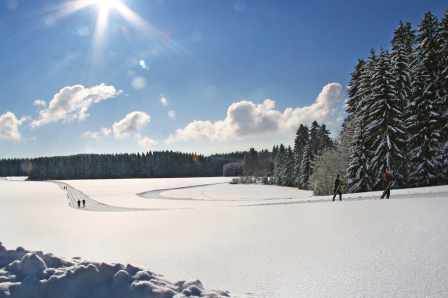 Winterpanorama in Wegscheid im Bayerischen Wald