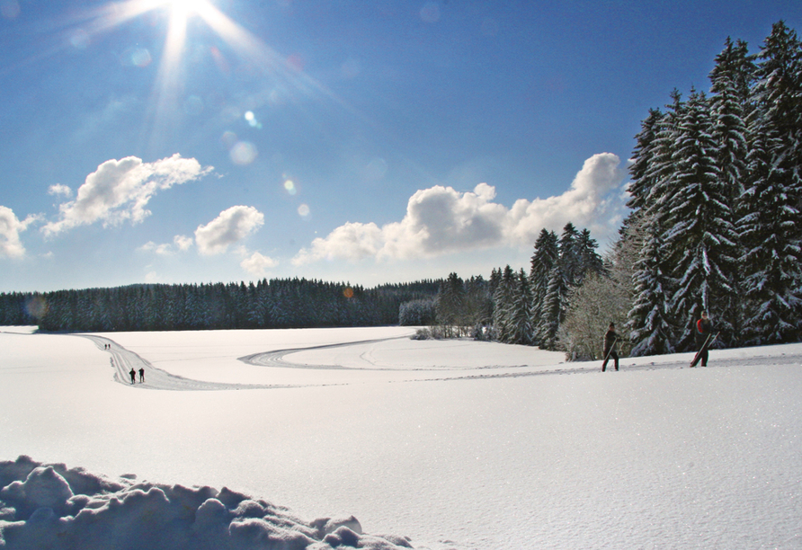 Winterpanorama in Wegscheid im Bayerischen Wald