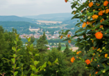 Genießen Sie vom Panoramahotel am Marienturm aus eine herrliche Aussicht auf Rudolstadt und ins Tal.