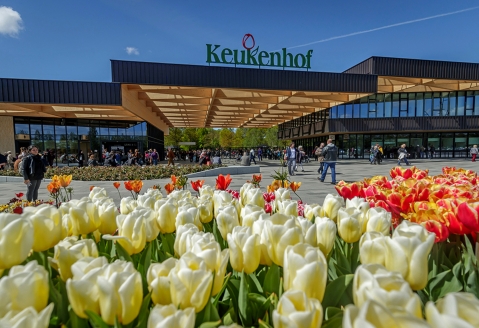 Entdecken Sie den größten Tulpen- und Blumenpark der Welt – der Keukenhof in Lisse!