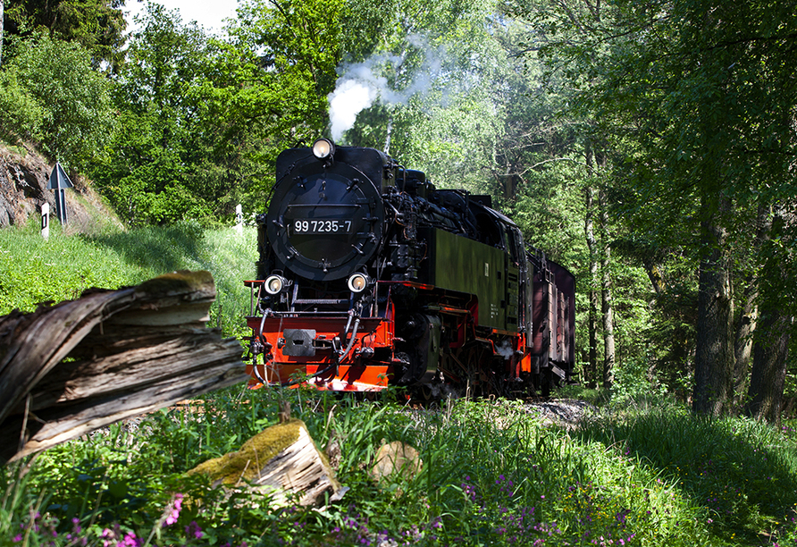 Die Selketalbahn im Harz sollten Sie gesehen haben.