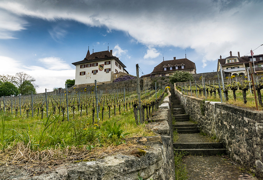 Auch das Schloss Erlach ist einen Ausflug wert.