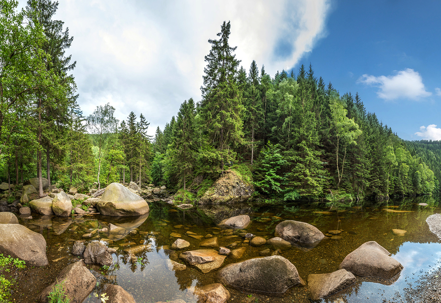 Der Harz mit seinen Wäldern und Bächen ist wunderschön.