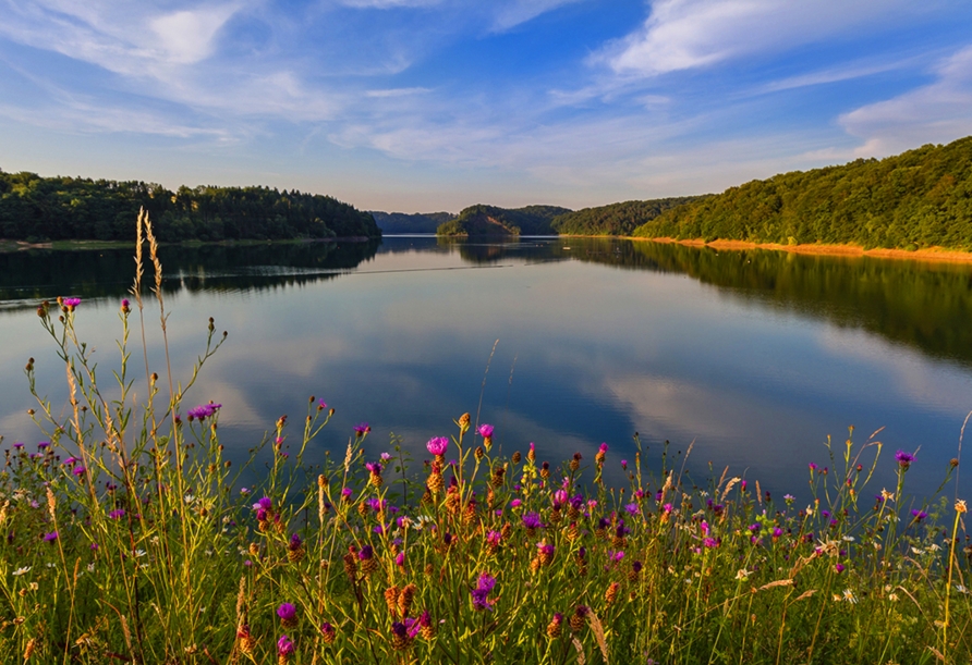 Besuchen Sie die idyllische Wahnbachtalsperre in der Nähe.