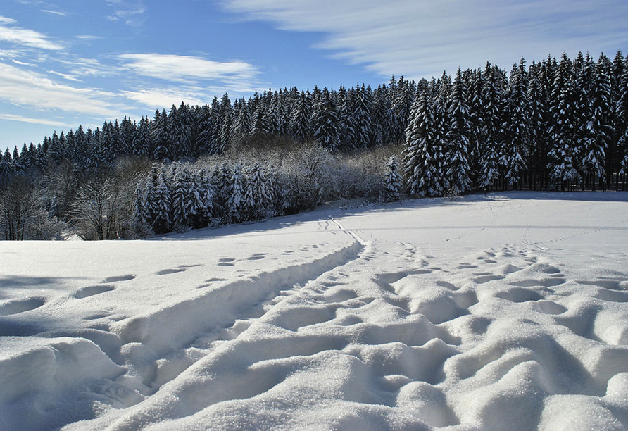 Rund um Waldkirchen erwartet Sie eine traumhafte Landschaft.