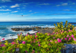 Entdecken Sie die wunderschöne Insel Teneriffa.