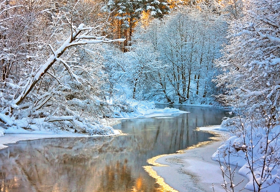 Winterliche Idylle erwartet Sie im Spreewald.