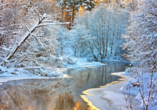 Winterliche Idylle erwartet Sie im Spreewald.