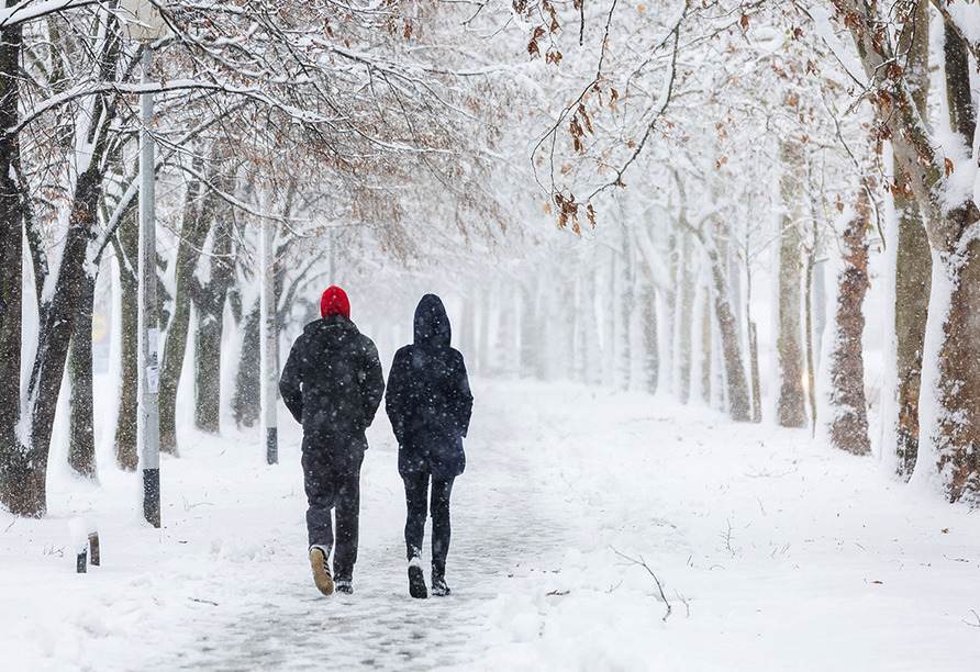 Erleben Sie bei einem ausgedehnten Spaziergang den Zauber der glitzernden Winterlandschaft.