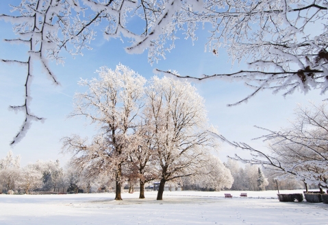 Die bezaubernde Winterlandschaft von Bad Füssing wartet auf Sie.