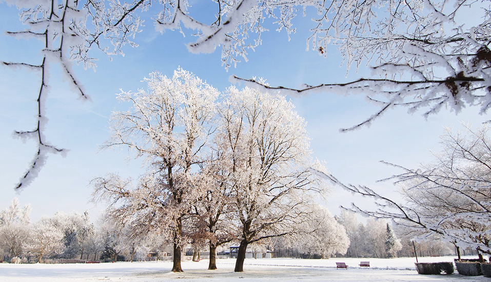 Die bezaubernde Winterlandschaft von Bad Füssing wartet auf sie.