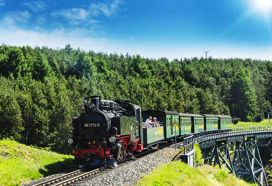 Eisenbahnromantik pur! Die Fichtelbergbahn verkehrt zwischen Oberwiesenthal und Cranzahl.