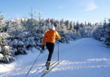 Erkunden Sie den Thüringer Wald bei einer Schneewanderung auf dem Rennsteig!