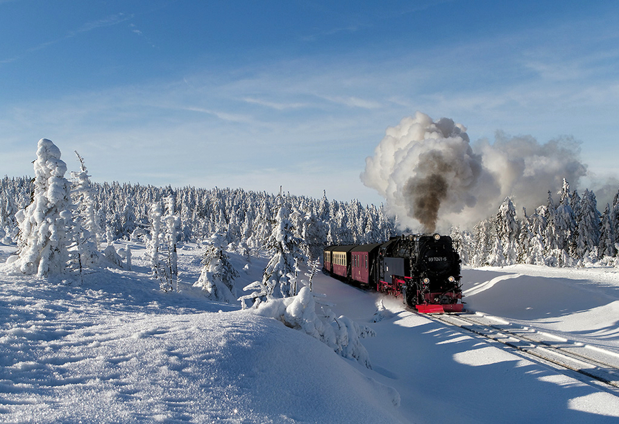 Die Brockenbahn ermöglicht Ihnen einen bequemen Aufstieg auf den Gipfel des höchsten Berges vom Mittelgebirge Harz.