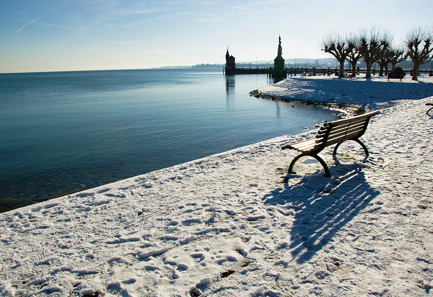 Winter am Bodensee