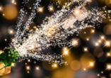 Verbringen Sie eine wunderbare Silvesternacht in Frankenwald.