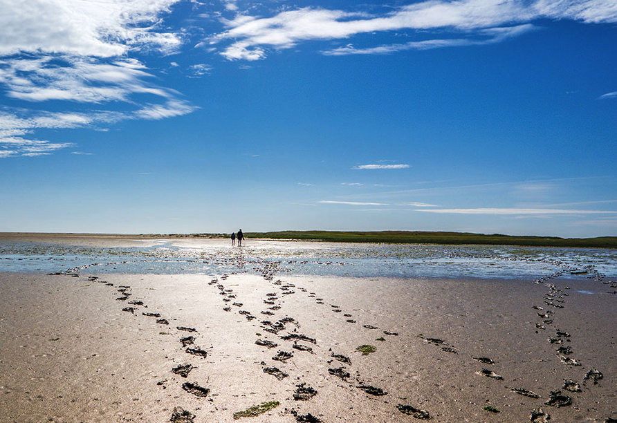 Wandern Sie durch das Wattenmeer.