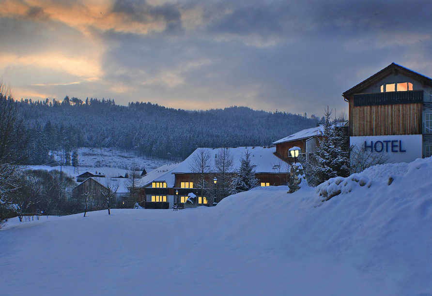 Hotel am Pfahl in Viechtach, Außenansict Winter