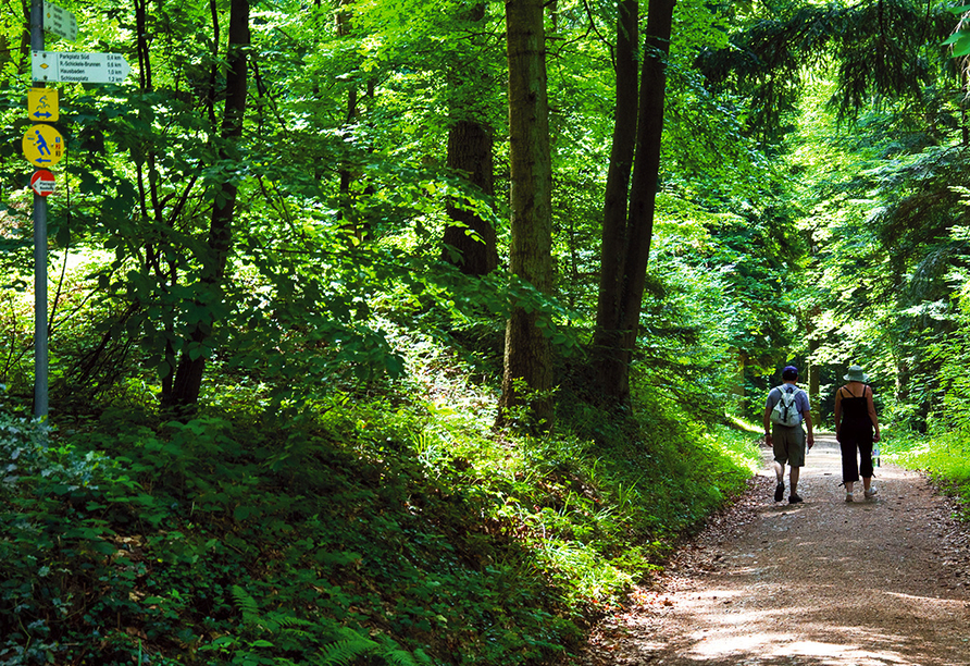 Die Region erwartet Sie mit herrlichen Wäldern zum Wandern und Radfahren.