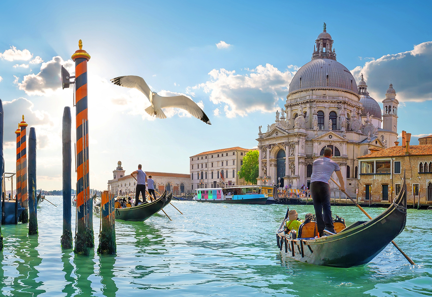 Die wunderschöne Lagunenstadt Venedig ist ein Höhepunkt Ihrer Reise. 