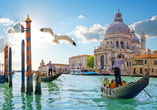 Die wunderschöne Lagunenstadt Venedig ist ein Höhepunkt Ihrer Reise. 