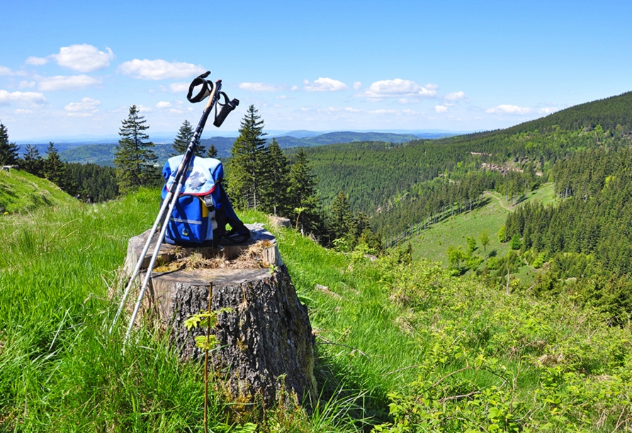 Erwandern Sie den Thüringer Wald.