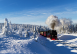 Unternehmen Sie auch im Winter eine Fahrt mit der Brockenbahn.