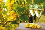 Probieren Sie den köstlichen Bopparder Wein.