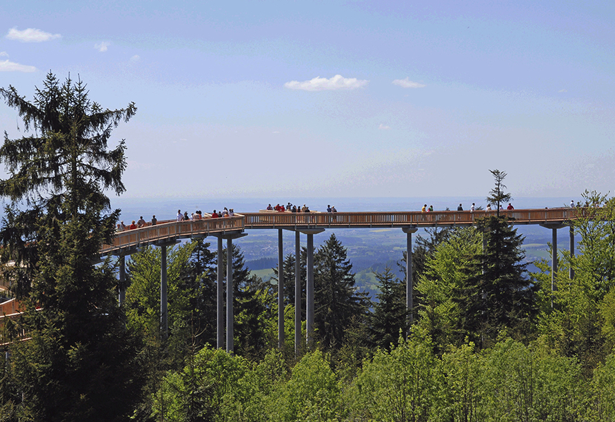 Predigtstuhl Resort in St. Englmar im Bayerischen Wald, Waldwipfelpfad