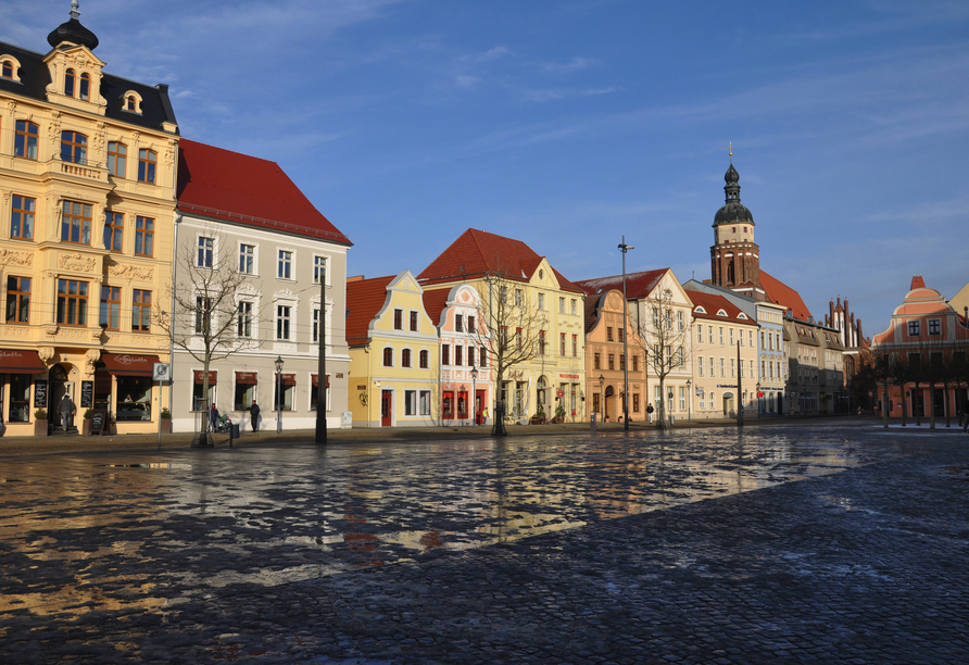 Der historische Altmarkt bildet das charmante Herz der Cottbuser Innenstadt.