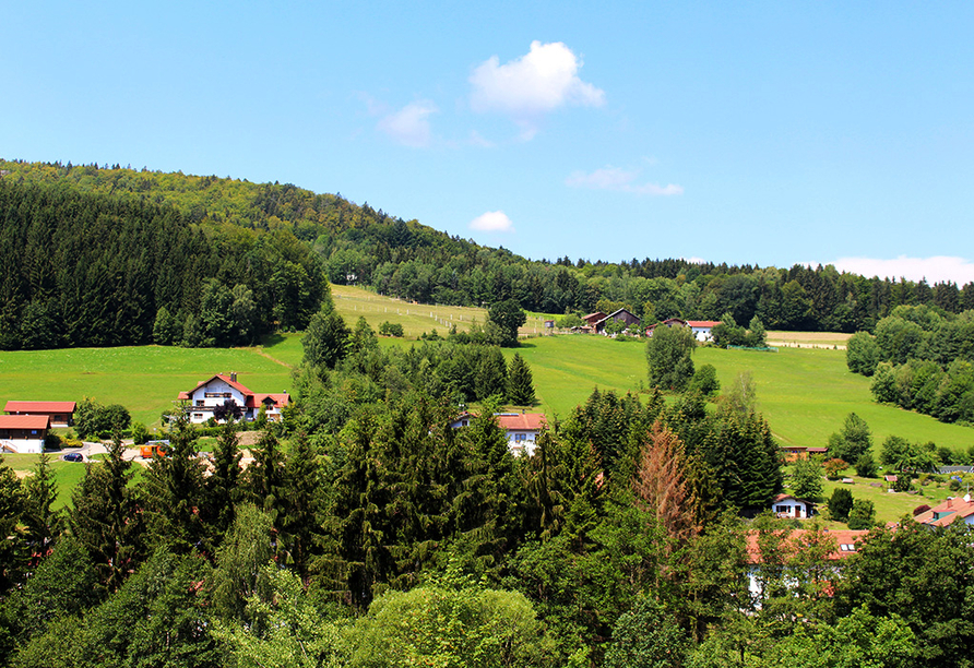 Genießen Sie den Ausblick über Neukirchen und den Bayerischen Wald.
