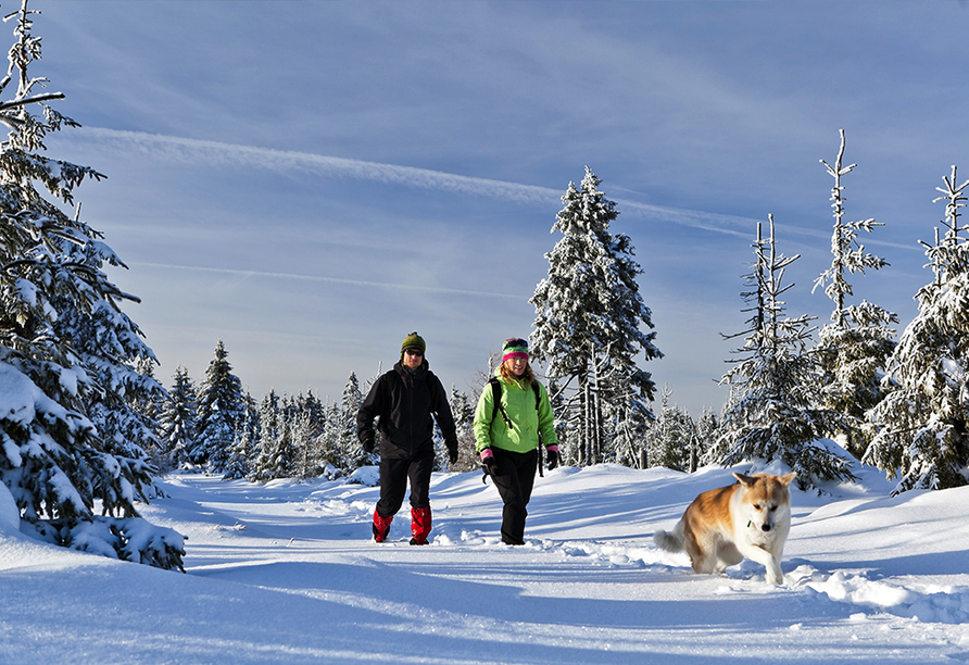 Burghotel Am Hohen Bogen in Neukirchen beim Heiligen Blut, Winterspaziergang im Bayerischen Wald