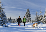 Burghotel Am Hohen Bogen in Neukirchen beim Heiligen Blut, Winterspaziergang im Bayerischen Wald