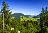 Natur pur in der Umgebung des Hotels in Niederau.