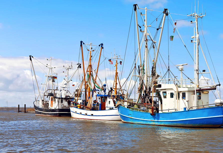 Bestaunen Sie die zahlreichen Fischkutter und größere Schiffe in Bremerhaven.