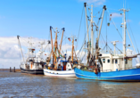 Bestaunen Sie die zahlreichen Fischkutter und größere Schiffe in Bremerhaven.